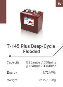 T-145 Plus Deep-Cycle Flooded